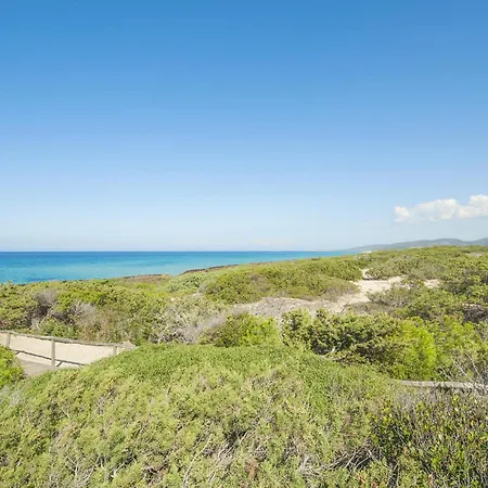 1 Bedroom Lovely In *